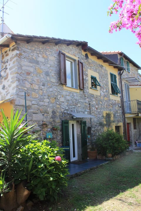 Property building, Garden, Garden view