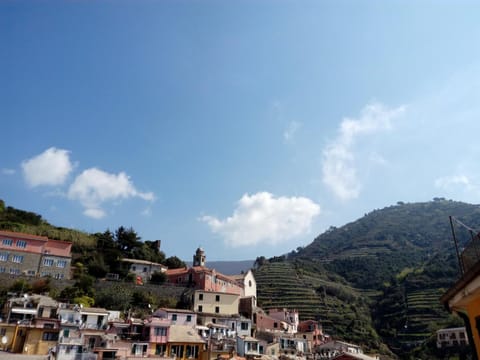 Landmark view