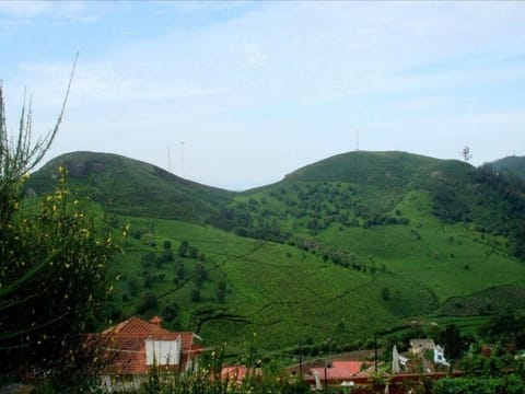 Mist Resorts Ooty Villa in Ooty