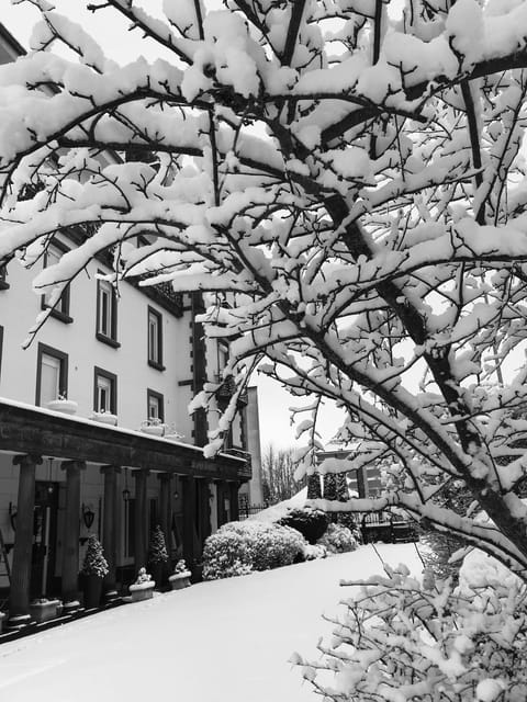 Property building, Winter, View (from property/room)