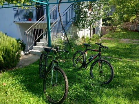 Spring, Day, Garden, Cycling, Garden view