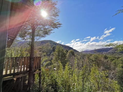 Cabañas & Hostal Dos Rios Nature lodge in Araucania, Chile