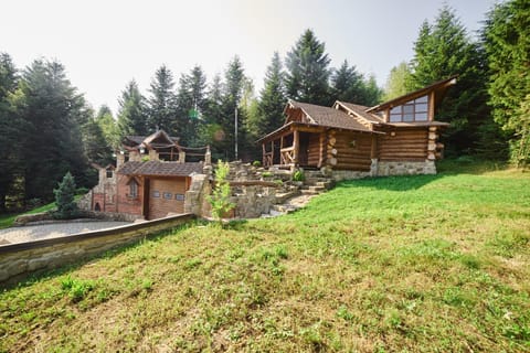 Forest House exclusive Chalet in Lviv Oblast