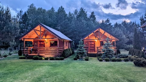 Domki Letniskowe Bory Tucholskie - Klimatyzacja Wifi Sauna Jacuzzi House in Pomeranian Voivodeship