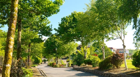 Natural landscape, Summer, Garden, On site