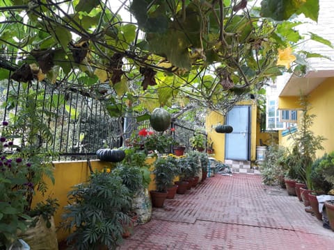 Garden, Garden view