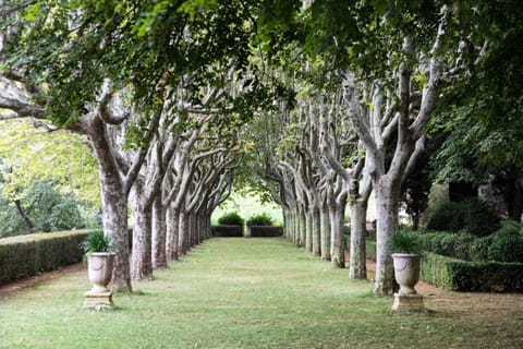 Natural landscape, Garden, Garden view