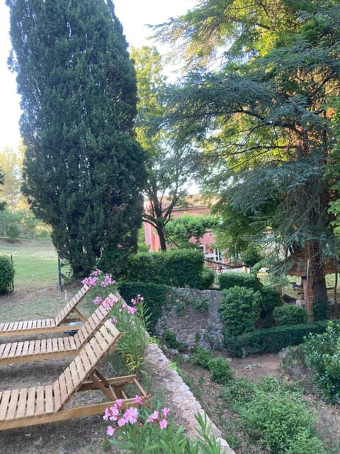 Garden, Garden view, Swimming pool