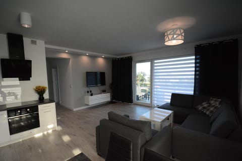 TV and multimedia, Balcony/Terrace, Kitchen or kitchenette, Living room, Seating area, Lake view