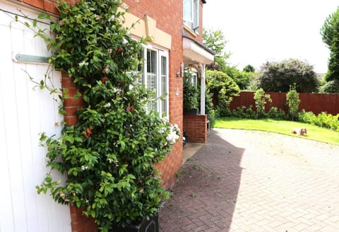 Harlequin B&B Ledbury Bed and Breakfast in Malvern Hills District