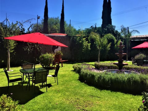 Patio, Spring, Day, Garden, Garden view