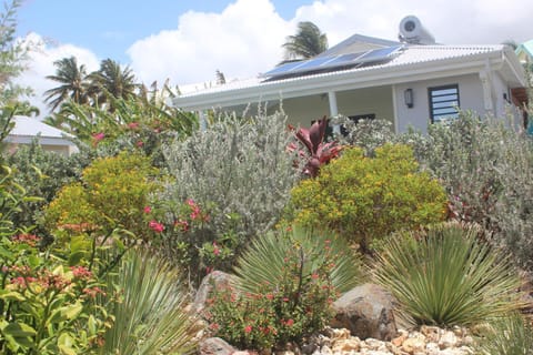 Garden, Garden view