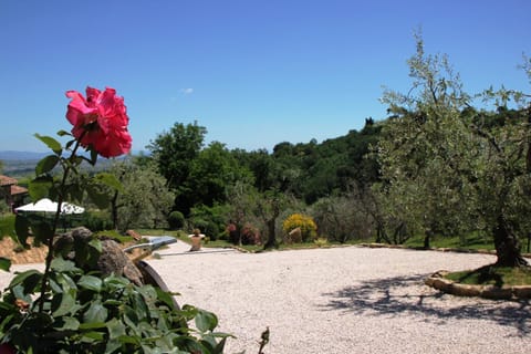 View (from property/room), Garden view