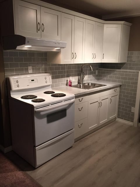 Newly Renovated Basement Suite! Condo in Lethbridge