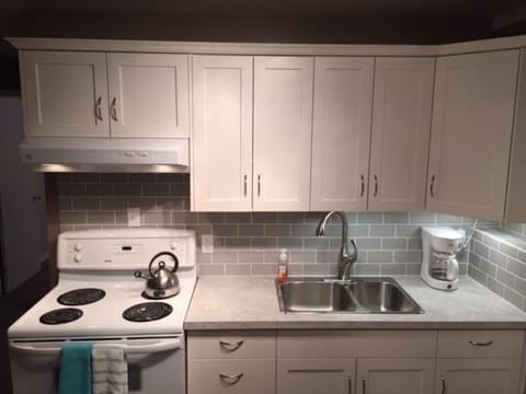 Newly Renovated Basement Suite! Condo in Lethbridge
