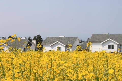 Jeju Skyline Pension House in South Korea