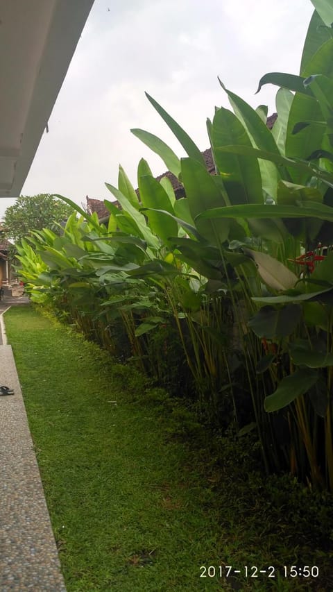 Facade/entrance, Garden, Garden view