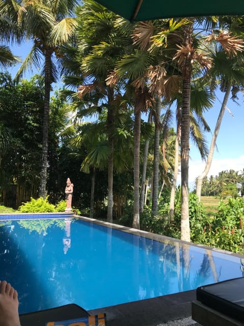 Day, Garden, Garden view, Pool view, Swimming pool