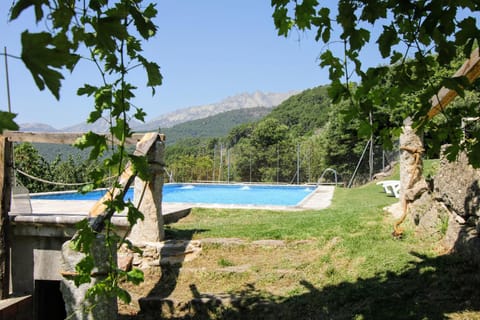 Garden, Pool view, Swimming pool