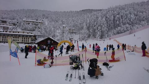 Heavenly View Chalet in Province of Massa and Carrara