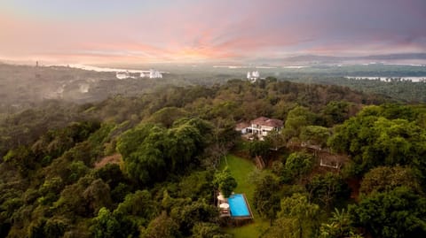 Bird's eye view, Garden