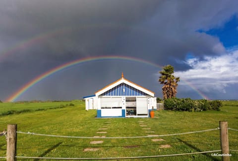 Casa dos Flamingos House in Aveiro District, Portugal