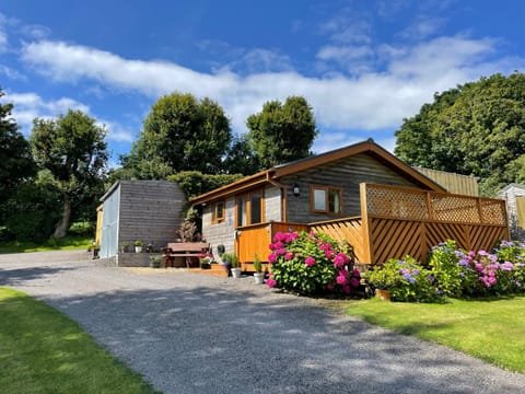 Swansea Log Cabin Chalet in Rhos