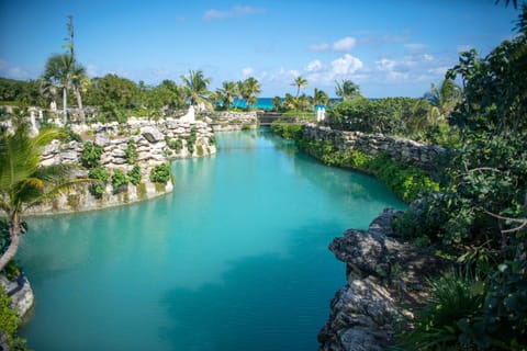 Natural landscape, River view