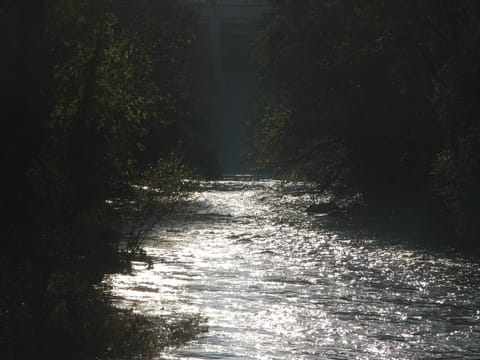 Natural landscape, Other, River view