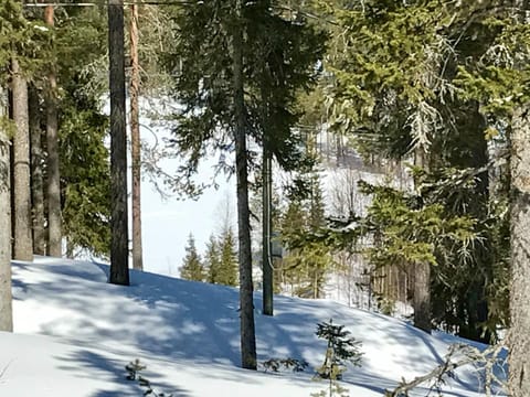 Property building, Beach, Lake view