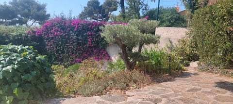 Villa du Bau Rouge Villa in French Riviera