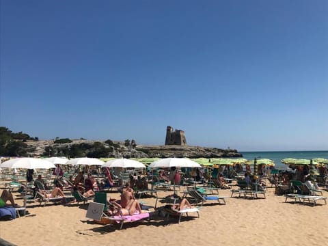 Nearby landmark, Beach, Sea view, sunbed