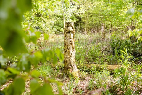 Natural landscape, Garden