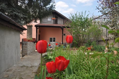 Property building, Garden view