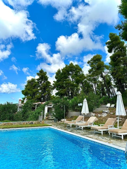 Spring, Day, Natural landscape, Garden view, Pool view, Swimming pool, sunbed