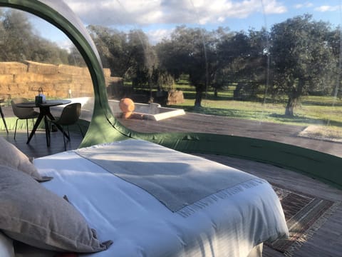 Bed, Natural landscape, Seating area, Garden view