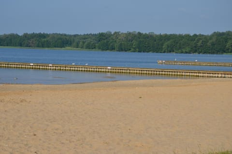 Spring, Off site, Day, Beach