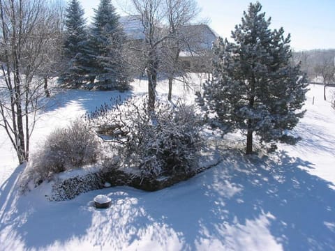 Winter, Garden view, Garden view