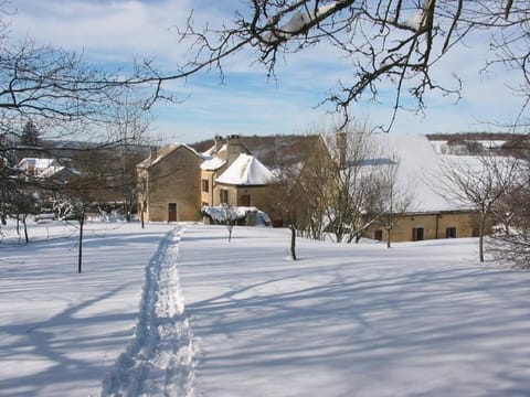 Winter, Garden