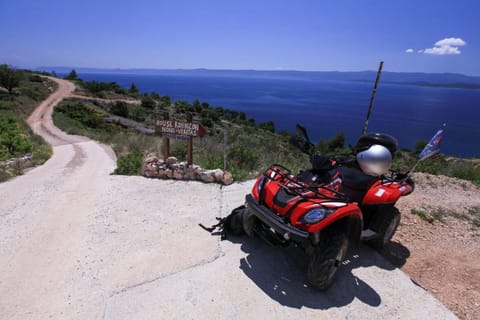 Neighbourhood, Natural landscape, Activities, Beach