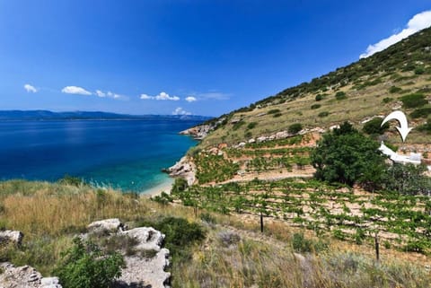 Property building, Facade/entrance, Neighbourhood, Natural landscape, View (from property/room), Other, Beach, Sea view