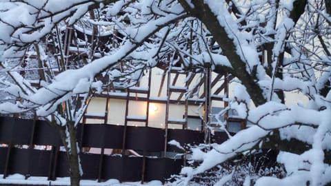 Property building, Winter, Garden, Balcony/Terrace