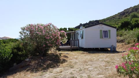 Patio, People, Garden, Other, Photo of the whole room, Garden view, Area and facilities, Family