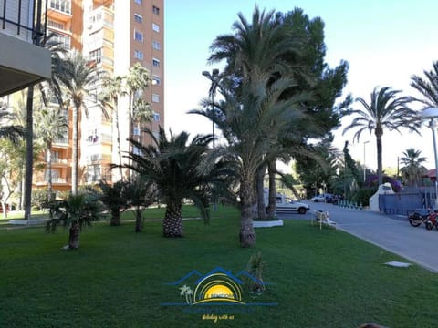 Patio, Garden, Garden view