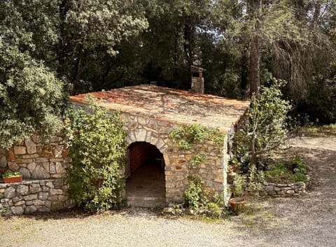 Villa Le Niaouli House in Lorgues