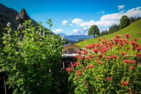 Strickhof Farm Stay in Schladming