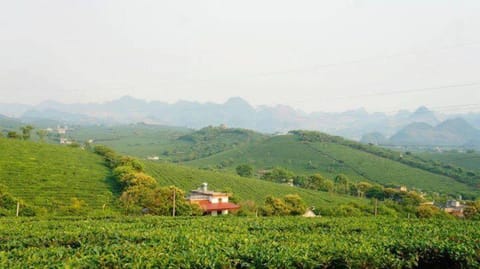 Garden view, Mountain view, Street view, Area and facilities