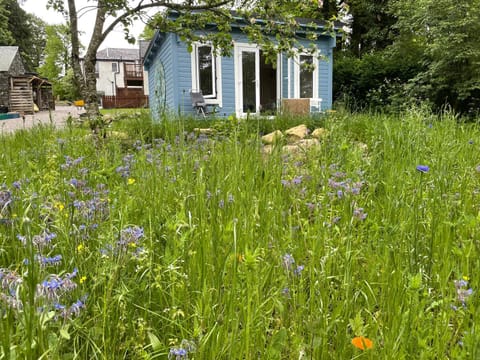 Natural landscape, Garden view