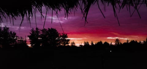 Summer, On site, Garden view, Sunset