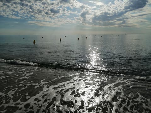 Palm Beach Eigentumswohnung in Le Barcarès